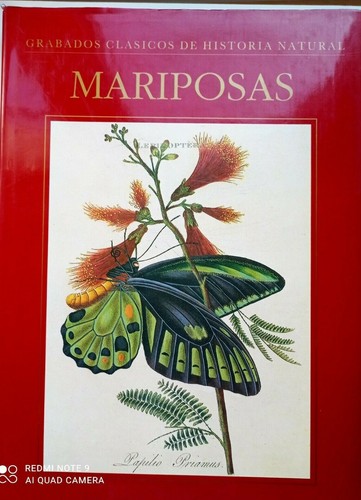 Mariposas grabados clasicos - mariposas,