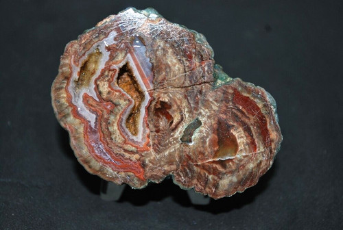 Agates fréjus - de,