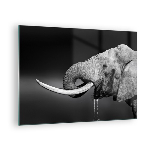 Impression sur verre 70x50cm - verre,