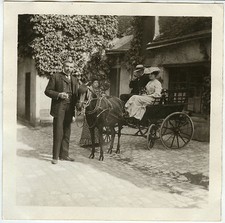 PHOTO ANCIENNE - CHEVAL