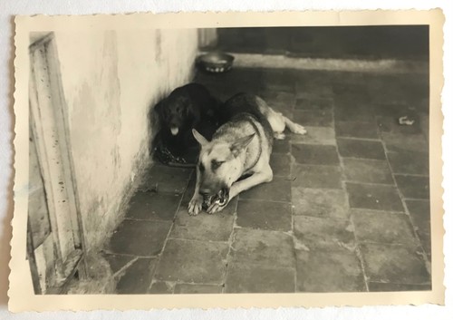 Photo ancienne vintage - photo,