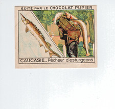 Chromo Caucasian Fish Sturgeons No. 211 ASIA 1930's 50 x 70 mm Chocolate PUPIER