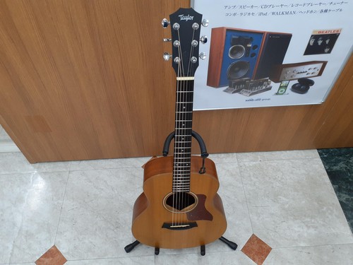 Guitare acoustique taylor - acoustique,