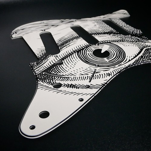 Pickguard fender strat - fender, •