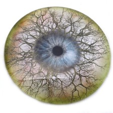 78mm Fantasy Tree Branches Glass Fantasy Eyes Large Faux Taxidermy Art Craft