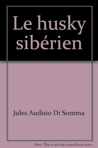 Husky sibérien - husky,