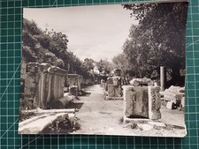 BX108 belle photo Erpé circa