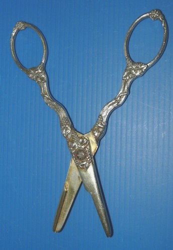 Paire ciseaux raisin argent - -paire, a