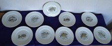 10 ASSIETTES PLATES DÉCOR POISSONS LUNÉVILLE K&G