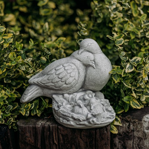 Paire pigeons colombe - de,