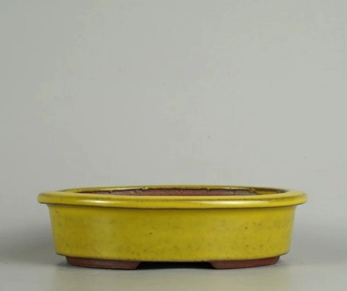 Pot bonsaï japonais four - pot, à