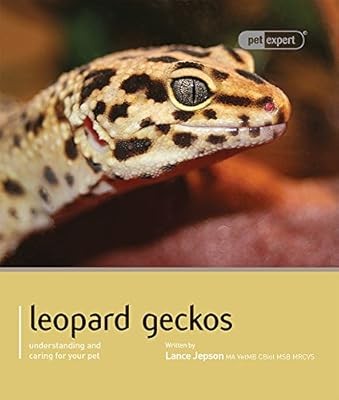 Leopard gecko pet expert - leopard,