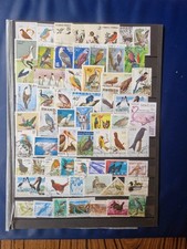 + de 55Timbres oiseaux   ( lot
