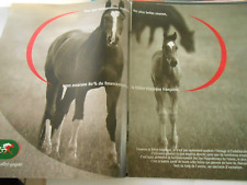 Advertising 2008 Advert PMU the horse sector horses