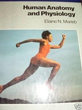 Humain Anatomy Et Physiologie
