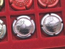 2 CAPSULES DE CHAMPAGNE