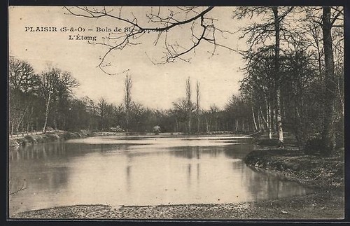 Cpa plaisir étang bois - l´Étang,,