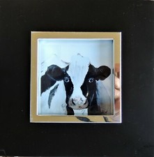 photography, cow, animal, black and white interior decoration 