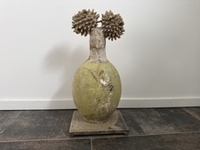 Modele botanique platre