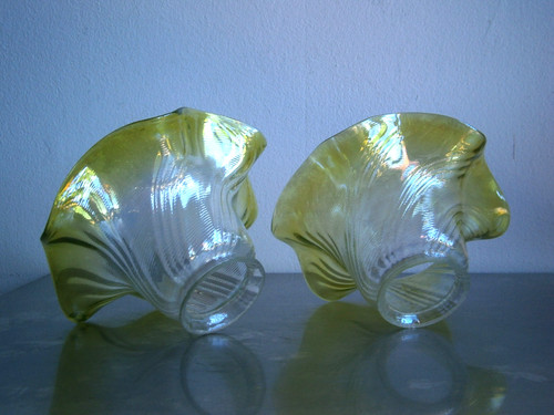 Paire tulipe 1900 fleur - c-1900,