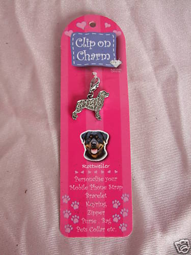 Pendentif médaillon - -,