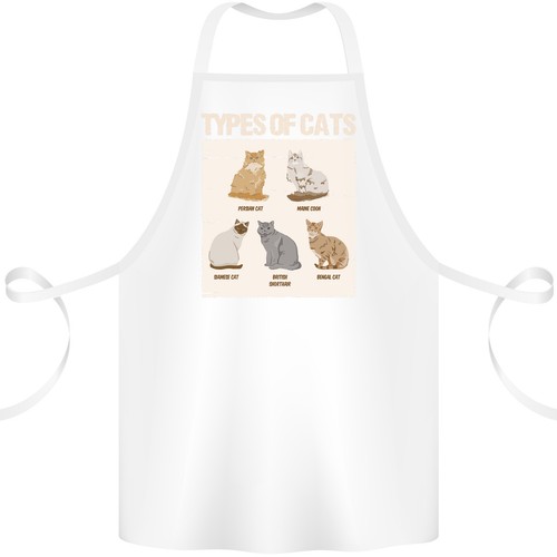 Types chat persan - chat,