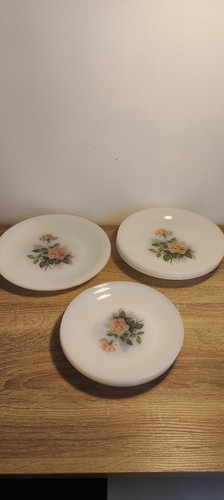 Lot assiettes arcopal - assiettes,