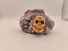 Crâne Agressif en Corne de