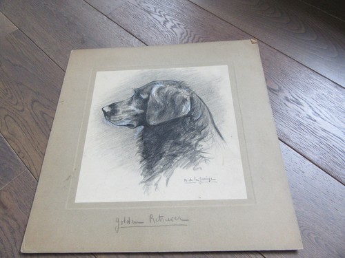 Dessin chasse chien signe - dessin,