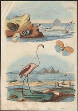 1833 Gravure aquarellée