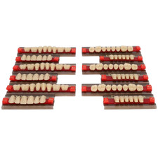 Fausses Dents En Résine Synthétique, Matériel Dentaire, Prothèse Dentaire, Fourn