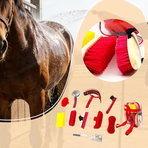 Kit toilettage pour chevaux - kit,