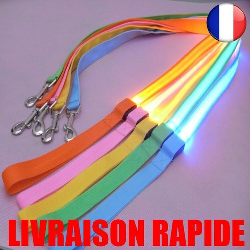 Laisse nylon led - led, nuit