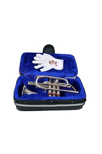 Cornet musical indien - cornet,
