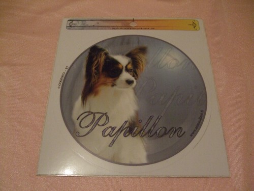 Autocollant motif chien - autocollant,