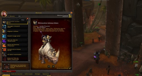 Compte wow midnight monture - compte,