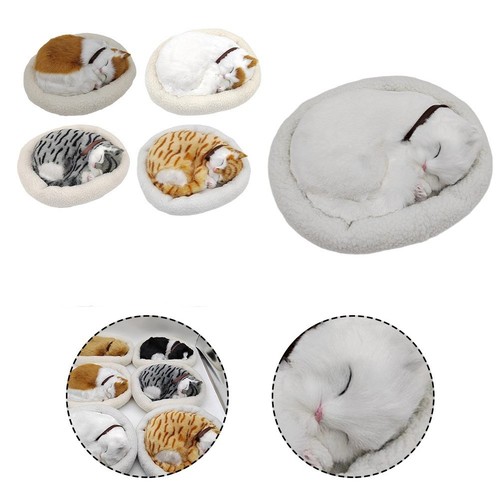 Poupée chat respiratoire