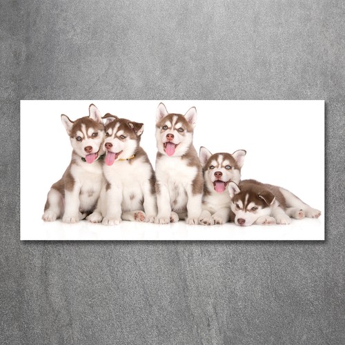 Tulup image sur verre - tulup,