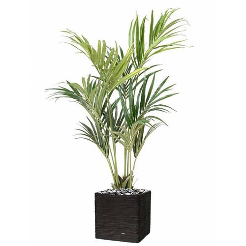 Palmier kentia artificiel - palmier, en