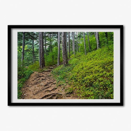 Tulup photo cadre 70x50cm - tulup,