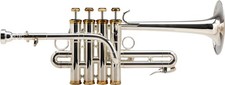 Trompette Piccolo Sib Laiton Argentée Instrument Vent Set Etui Rigide Embouchure