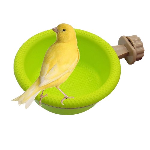 Baignoire pour oiseaux - pour,