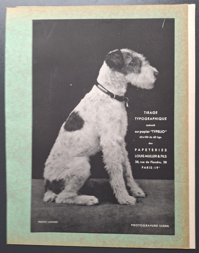 Planche gravure 1932 chien - 1932,