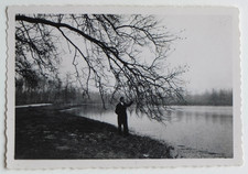 Man Touch Branches Tree Autumn Lake Graphic - Old Photo Snapshot