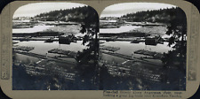Sweden, Kramfors, Pins along the Ångermanälven River, vintage print, ca.1910,