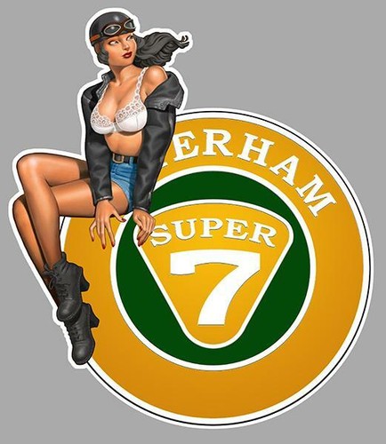 Caterham super left pin up - left,