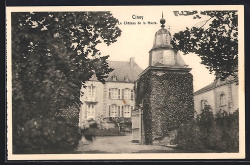 Cpa ciney château de la - cpa,