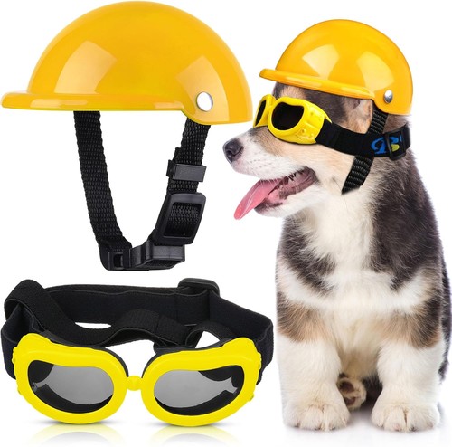 Casque lunettes soleil chien - lunettes,