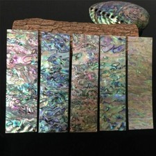 1x 140x40mm Abalone Coque