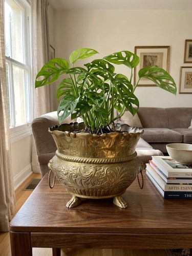 Cache pot oval laiton - oval,